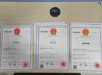 注册公司 代理记账公司注册提供个体户注册、内资公司注册服务