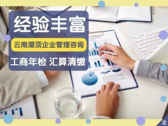 代理记账 财税服务 注册公司提供地址 公司变更 内资公司注册 注销公司