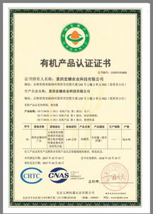 bu集团创始股东石为 致力现代农业,构建工厂化生产,颠覆牛肝菌市场格局