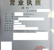 高清图片与内资公司注册 流程、材料与注意事项详解